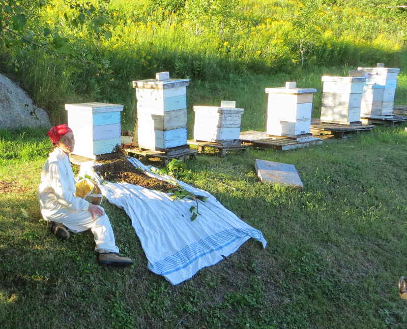 Environnement de qualité